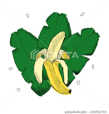 banana and palm leaves composition on isolated white background, graphic illustration. Vector Jungle design elements banana and palm leaves composition on isolated white background, graphic illustration. Vector Jungle design elements 130702719