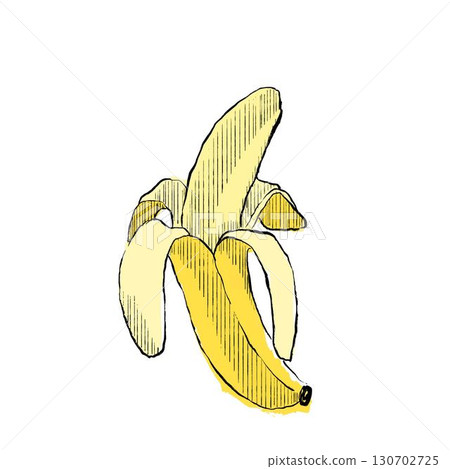 Hand drawn opened peeled banana. Whole banana fruit with peel clip art Vector graphic illustration 130702725