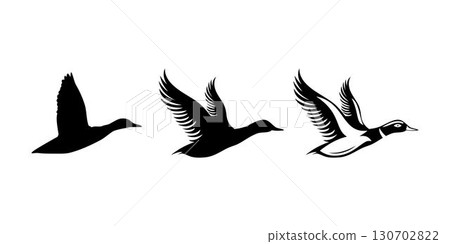 Flying duck silhouette mallard bird wing black icon graphic isolated Flying duck silhouette mallard bird wing black icon graphic isolated 130702822