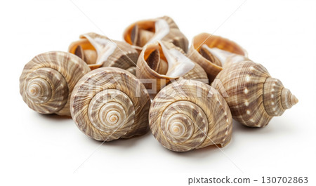 Group of Raw Whelks Displayed on White Background 130702863