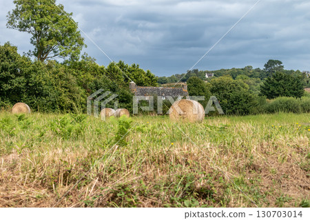 Illustration of Brittany in France, granit, sea, land Illustration of Brittany in France, granit, sea, land 130703014