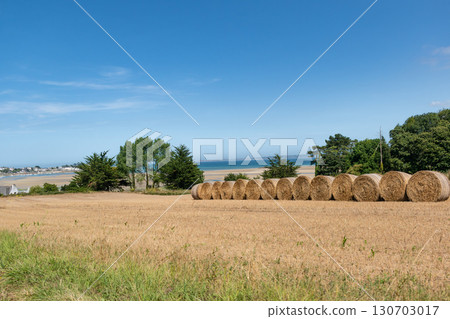 Illustration of Brittany in France, granit, sea, land 130703017
