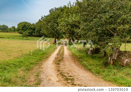 Illustration of Brittany in France, granit, sea, land Illustration of Brittany in France, granit, sea, land 130703019