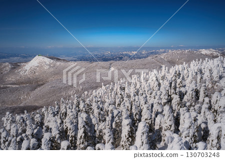 在冬日湛藍的天空下，藏王的廣闊樹冠上覆蓋著霜 130703248