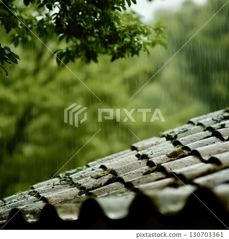 Roof shingles shining wet after summer rainfall in green nature 130703361