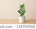 Potted plant on a table 130703568