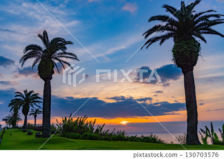 [宮崎縣] 從宮崎市鳳凰道之站觀賞日出 130703576