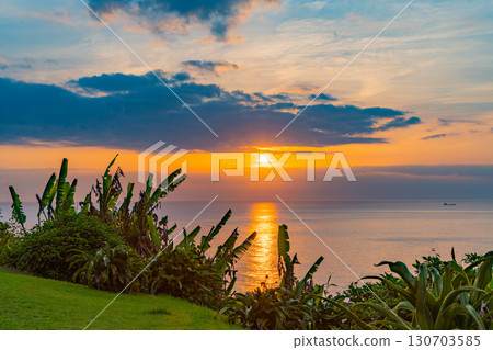 [宮崎縣] 從宮崎市鳳凰道之站觀賞日出 130703585