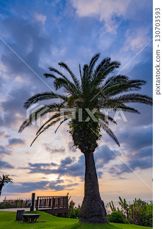 [Miyazaki Prefecture] Sunrise seen from Phoenix Roadside Station in Miyazaki City 130703593
