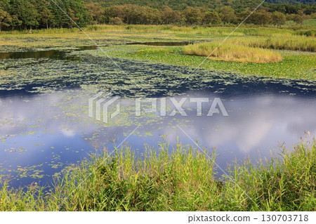 北海道知床五湖的風景 北海道知床五湖的風景 130703718