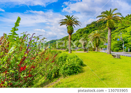 [Miyazaki Prefecture] Miyazaki City, Roadside Station Phoenix: Seaside View 130703905