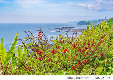 [宮崎縣] 宮崎市、道之站鳳凰城：海濱美景 130703906