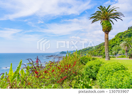 [Miyazaki Prefecture] Miyazaki City, Roadside Station Phoenix: Seaside View 130703907