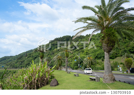 [宮崎縣] 宮崎市、道之站鳳凰城：海濱美景 130703910