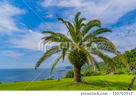 [Miyazaki Prefecture] Miyazaki City, Roadside Station Phoenix: Seaside View 130703917