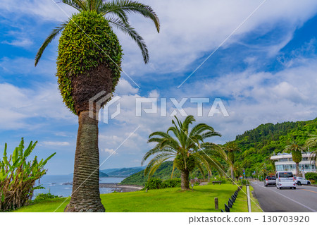 [宮崎縣] 宮崎市、道之站鳳凰城：海濱美景 130703920