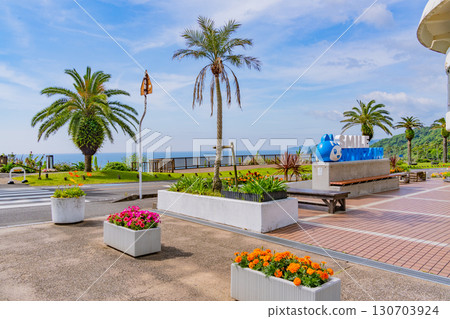 [宮崎縣]宮崎市、路邊站鳳凰 130703924