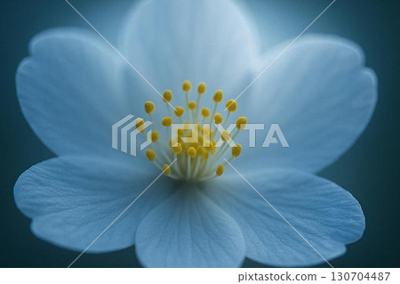 夢幻白花與月光藝術形象 130704487