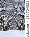 白雪覆蓋的樹木和富有深度的風景 130704821