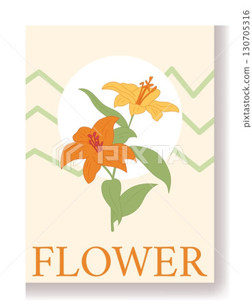 Flower poster. Lily spring wedding invitation, geometric background. Elegant botanical summer card. Floral bright print. Blossom petal bouquet design. Vector cartoon flat style isolated illustration 130705316