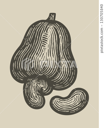 Cachew nut. Monochrome woodcut vector isolated illustration. Brazilian cordel 130705840