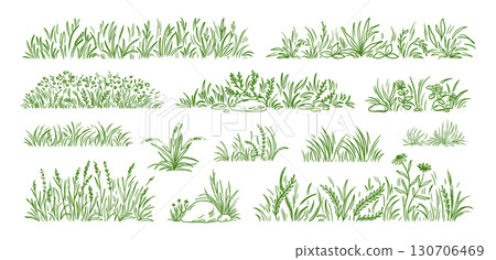 Grass field. Flower clump, small clover sketch or weed bush garden. Turf border texture, hand drawn plant lines. Decorative botanical meadow nature summer garden. Vector herbal doodles set Grass field. Flower clump, small clover sketch or weed bush garden. Turf border texture, hand drawn plant lines. Decorative botanical meadow nature summer garden. Vector herbal doodles set 130706469