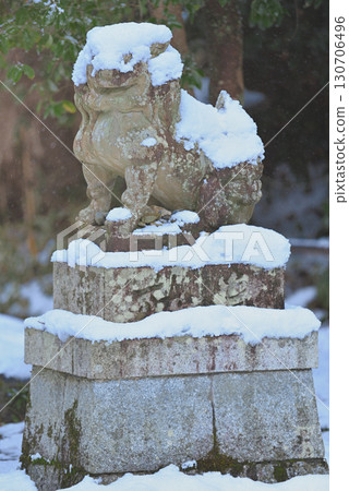 Snow and Shiba Inu 130706496