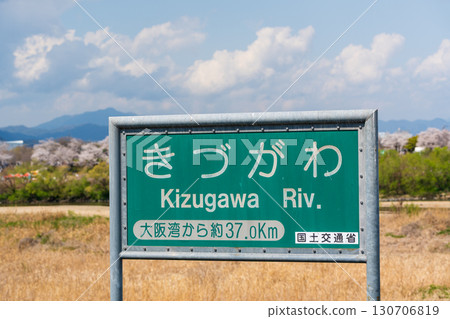 木津川的路標，背景是瀨割堤岸邊盛開的櫻花樹。日本京都府八幡市 130706819