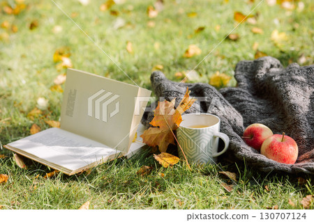 Autumn composition on light nature background. Open book, cup of hot tea and cozy sweater on autumn grass with leaves in park. High quality photo 130707124