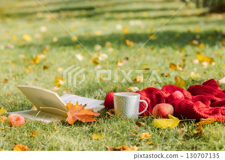 Autumn composition on light nature background. Open book, cup of hot tea and cozy sweater on autumn grass with leaves in park. High quality photo 130707135