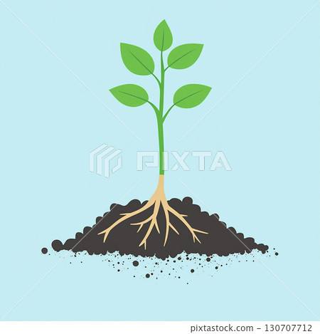 Illustration of a young green seedling with a long stem, showing its extensive roots growing in a mound of rich brown soil against a light blue background. Illustration of a young green seedling with a long stem, showing its extensive roots growing in a mound of rich brown soil against a light blue background. 130707712