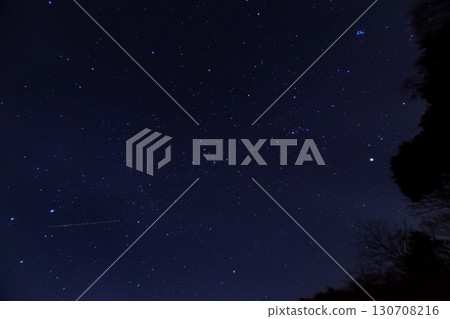 冬季星座和美麗的星空 130708216