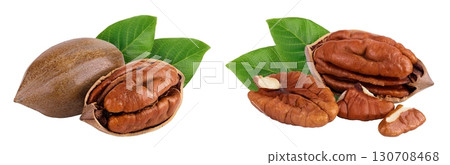 pecan nut isolated on white background with full depth of field pecan nut isolated on white background with full depth of field 130708468