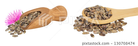 Seeds of a milk thistle or Silybum marianum, Scotch Thistle, Marian thistle in wooden scoop and spoon isolated on white background Seeds of a milk thistle or Silybum marianum, Scotch Thistle, Marian thistle in wooden scoop and spoon isolated on white background 130708474