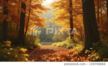 Colorful Autumn Forest With Sunlight Through Trees Colorful Autumn Forest With Sunlight Through Trees 130708668