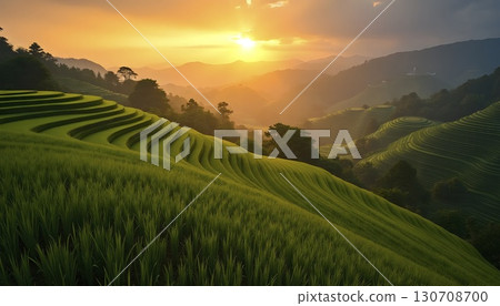 Sunrise over rice terraces in Bali 130708700