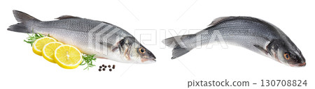 Sea bass fich isolated on white background with full depth of field. Sea bass fich isolated on white background with full depth of field. 130708824