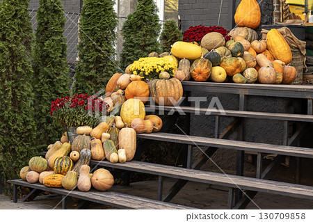 Display of assorted pumpkins and gourds on a rustic wooden structure Display of assorted pumpkins and gourds on a rustic wooden structure 130709858