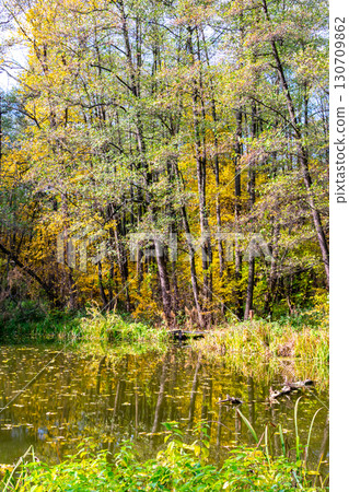 Serene pond reflection surrounded by vibrant autumn forest trees 130709862