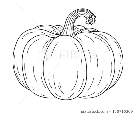 Vector outline of pumpkin. Minimalistic line art. Perfect for autumn, Halloween, or Thanksgiving themes. Black and white contour drawing suitable for coloring, seasonal decor, and design projects 130710309