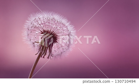 Delicate dandelion clock against a dreamy backdrop. Seeds poised for flight, symbolizing hope and new beginnings. Soft, ethereal composition. 130710494