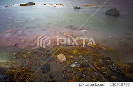 Coastline with rocks and seaweed visible under shallow water, calm seascape in the background Coastline with rocks and seaweed visible under shallow water, calm seascape in the background 130710773