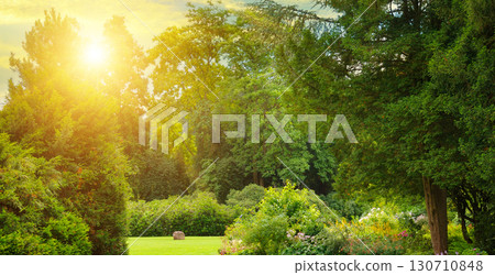 Lush Green Park at Sunset with Golden Light 130710848