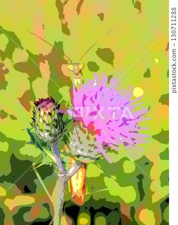 一隻螳螂在薊花上等待（afr20250906160813） 130711288