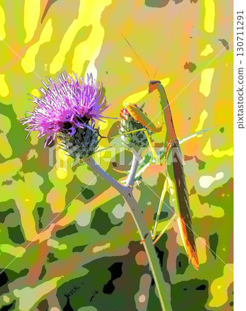 一隻螳螂在薊上等待的背影（afr20250906160945） 130711291