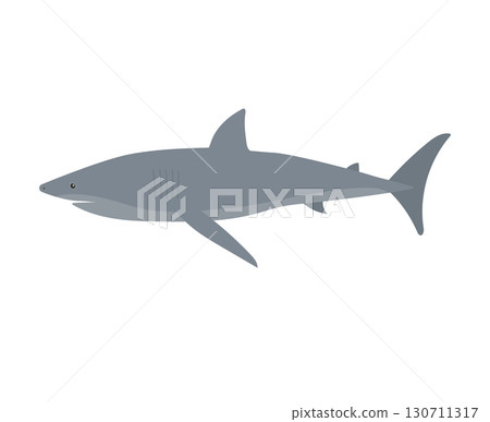 Vector flat hand drawn shark 130711317