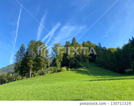 Nature of Austria, alpine meadows and forests. Nature of Austria, alpine meadows and forests. 130711329