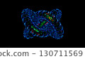 3d colorful torus. Computer generated 130711569