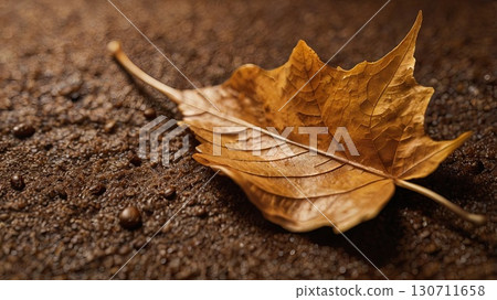 Close-up of an autumn leaf on coffee grounds with scattered coffee beans. Concept: warm still life, texture, and seasonal mood. 130711658