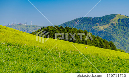 Nagano Japan Highland Landscape with Lush Green Hills 130711710